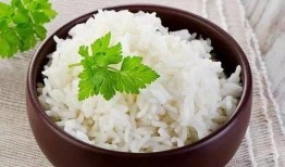 网红爆料咬米饭视频大全,趣味横生，笑料百出